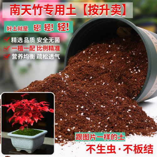 南天竹专用土营养土轻质疏松透气