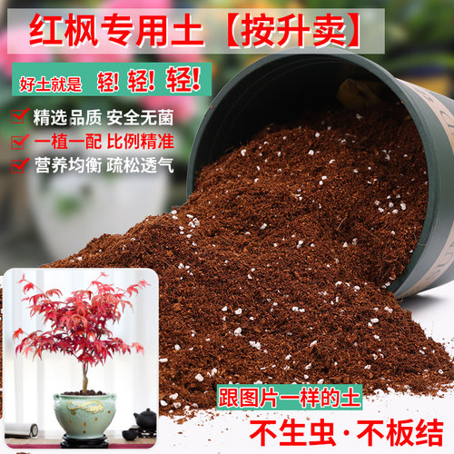 红枫专用土营养土轻质疏松透气