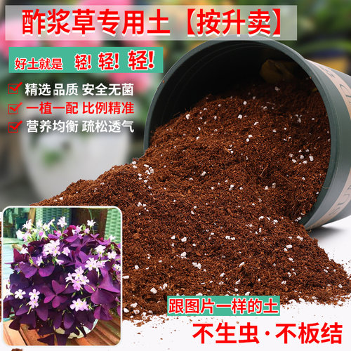 酢浆草专用土营养土疏松透气