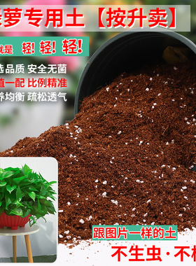 绿萝专用土营养土种花养花绿萝土壤家用盆栽花卉通用有机种植泥土