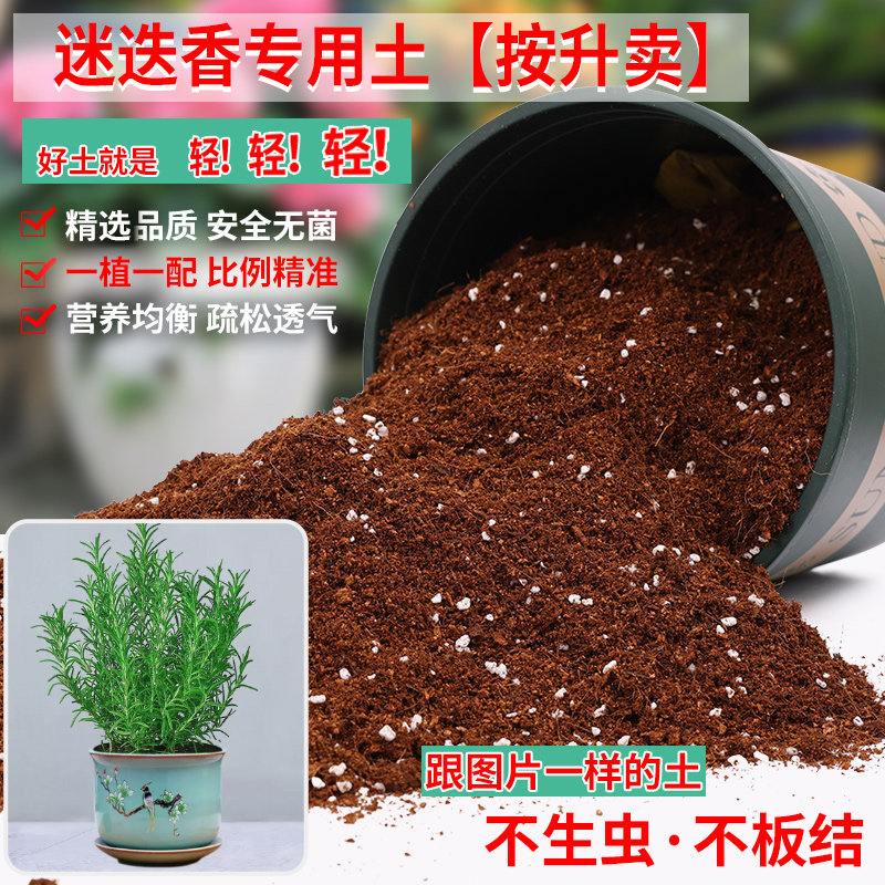 迷迭香专用土营养土轻质疏松透气图片