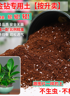 金钻专用土盆栽专用营养土有机肥料绿植种花养花土通用家用种植土