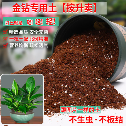 金钻专用土盆栽专用营养土有机肥料绿植种花养花土通用家用种植土