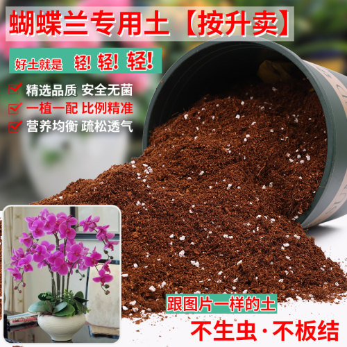 通蝴蝶兰专用土营养土疏松透气