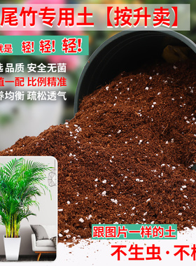 凤尾竹专用土散尾葵专用营养土盆栽土养花种花土通用种植土壤肥料