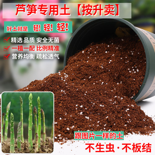 芦笋专用土营养土轻质疏松透气