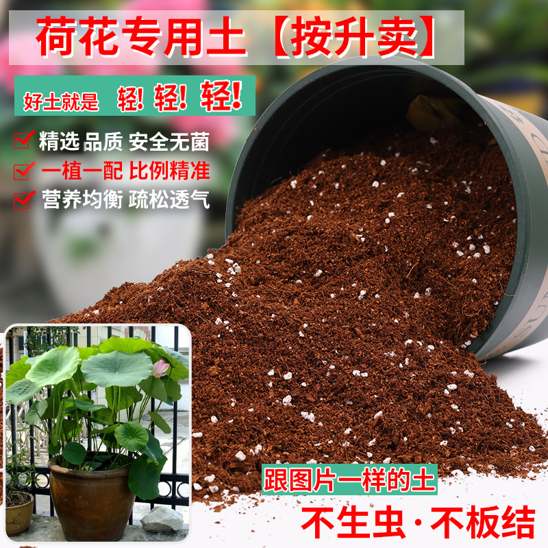 荷花专用土营养土轻质疏松透气