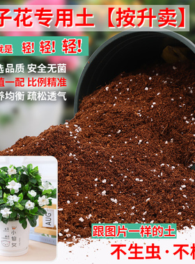 栀子花专用土弱酸性家庭种植园艺土通用型土壤透气排水花卉专用土