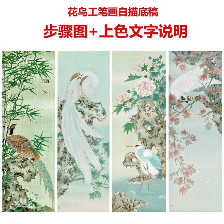 工笔画白描底稿花鸟凤凰步骤图+上色文字说明初学者过稿四条屏