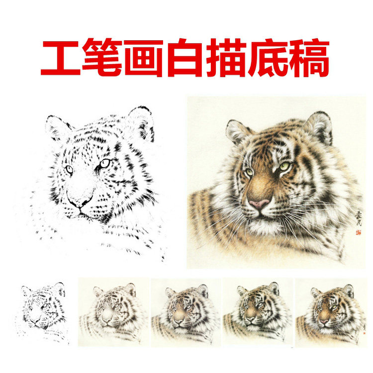 老虎头猛兽工笔画白描底稿线描国画稿初学者步骤图+上色说明斗方