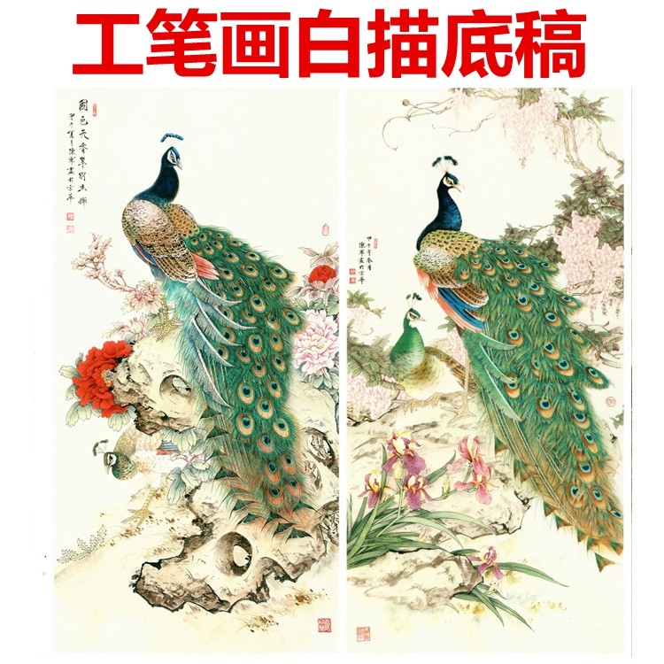 15孔雀工笔画白描底稿有步骤图线描画稿过稿临摹用条幅