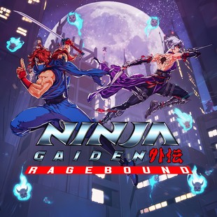 忍者外传NINJA GAIDEN 中文 下载 任天堂switch游戏NS下载