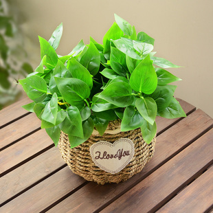 仿真绿萝植物塑料假花小盆栽仿真花室内装饰绿植客厅桌面花篮摆件