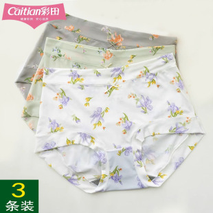 32635微收腹裤 3条装 女32633印花冰丝速干高腰特大码 内裤 彩田新款