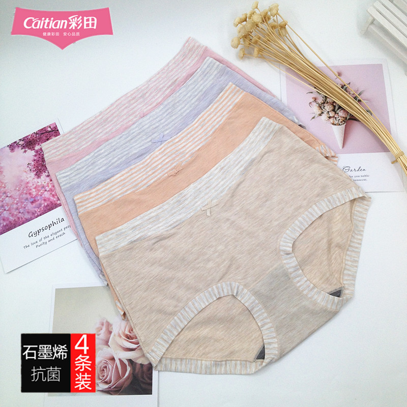 彩田内裤莫代尔棉亲肤高腰