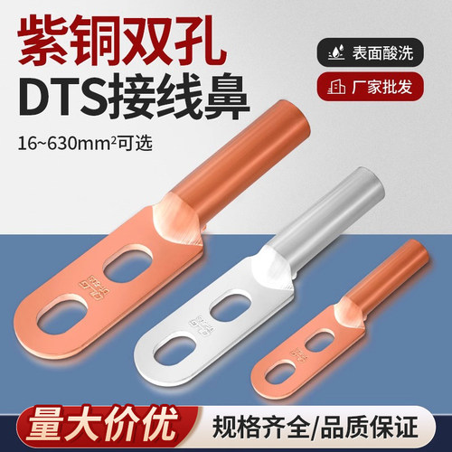 镀锡国标双孔堵油铜鼻子DTS