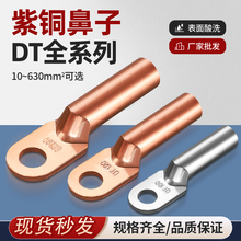 DT铜鼻子铜接头紫铜线鼻子线耳8/10/16/25平方镀锡堵油电缆线端子