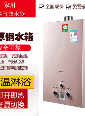 老式电池款燃气热水器天然气强排