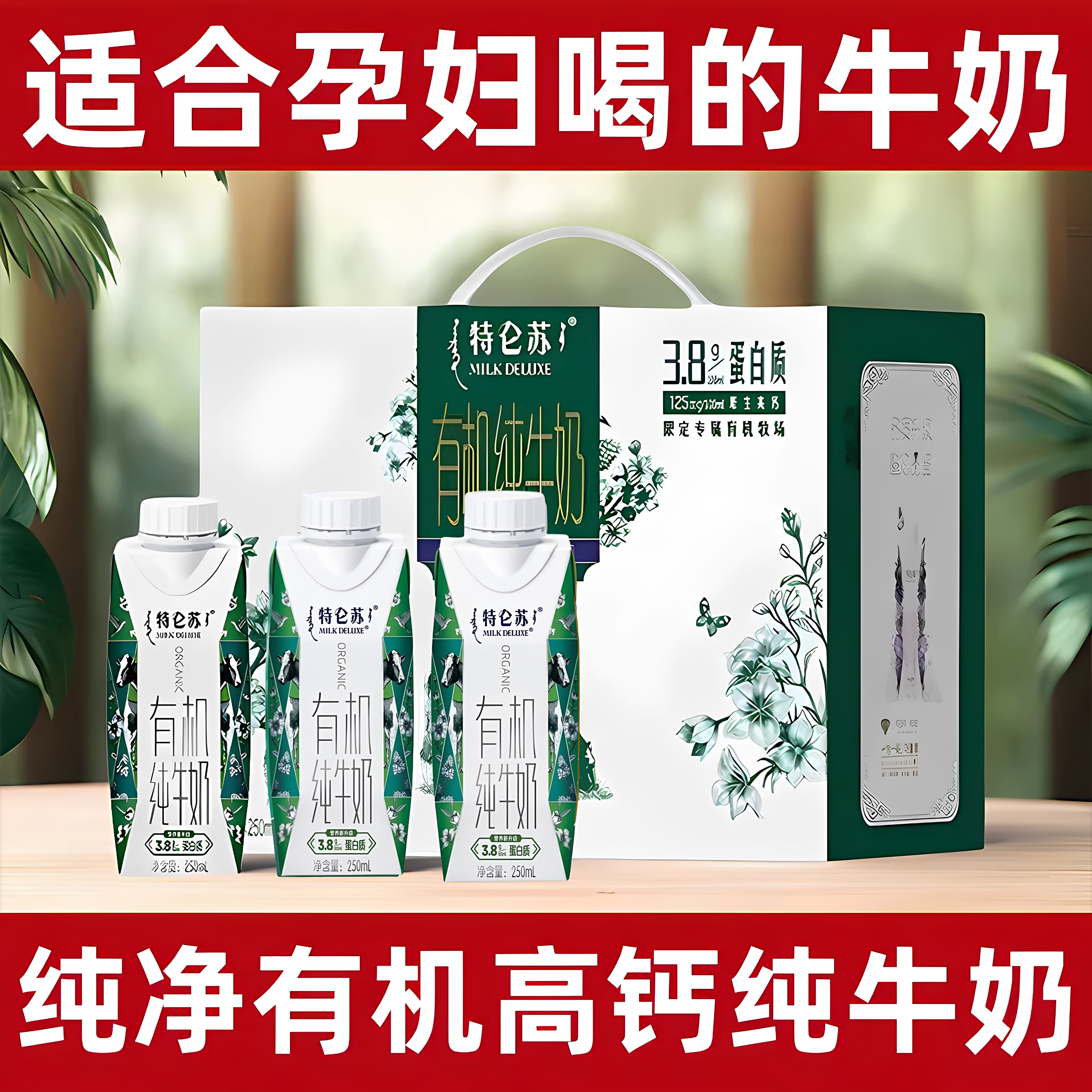 适合孕妇孕期喝的专用牛奶蒙牛特仑苏有机纯牛奶无蔗糖高钙早餐奶