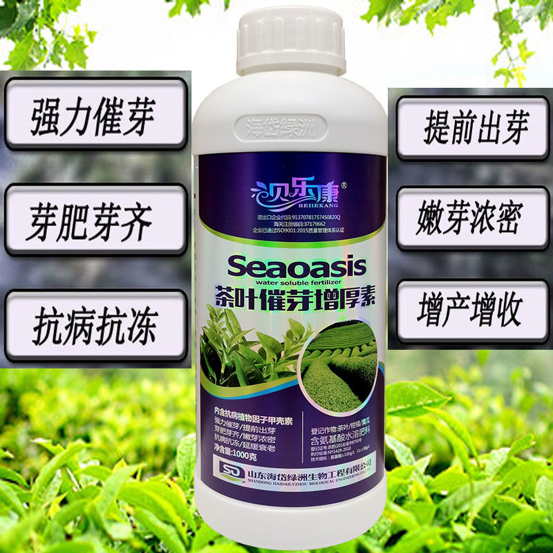 茶叶茶树爆芽素果树茶叶催芽剂发芽增产增收植物生长调节剂叶面肥