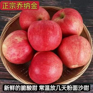 正宗乔纳金苹果粉面香甜辽宁特产苹果
