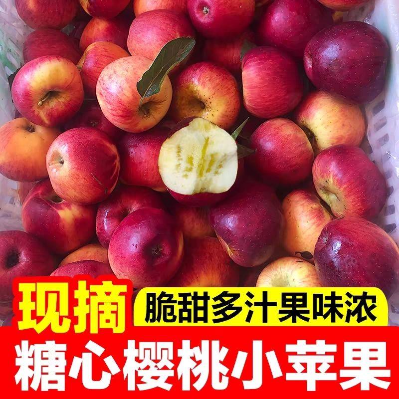 樱桃小苹果野生脆甜冰糖心新鲜当季整箱樱桃苹果,水产肉类/新鲜蔬果/熟食,苹果,淘宝优惠券,粉丝福利购,淘宝优惠卷