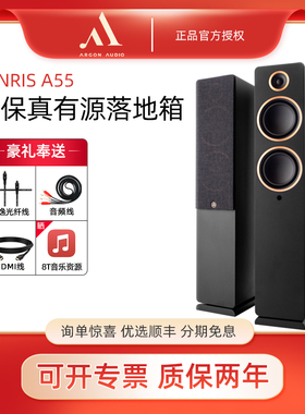 ARGON AUDIO FENRIS A55阿尔歌有源家用落地箱蓝牙高保真音响2.0