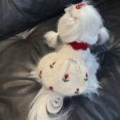 宠物圣诞针织毛衣狗狗猫咪衣服约克夏比熊泰迪雪纳瑞秋冬节日服饰