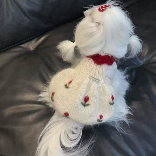 宠物圣诞针织毛衣狗狗猫咪衣服约克夏比熊泰迪雪纳瑞秋冬节日服饰