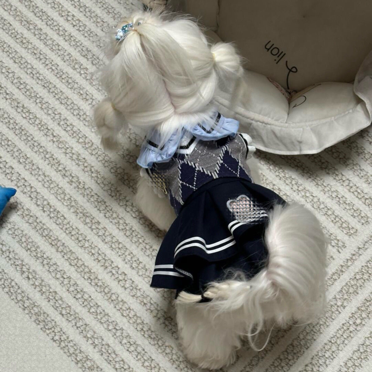 新款可爱ins风宠物衣服jk校服套装学院百褶裙猫狗南瓜裙