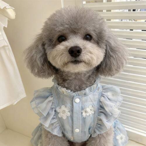 新款狗狗裙子春夏季薄款透气泰迪比熊飞袖公主裙宠物小型犬狗衣服