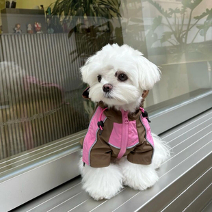 狗狗衣服秋冬新款粉红冲锋衣洋气帅气连帽宠物比熊法斗泰迪小型犬