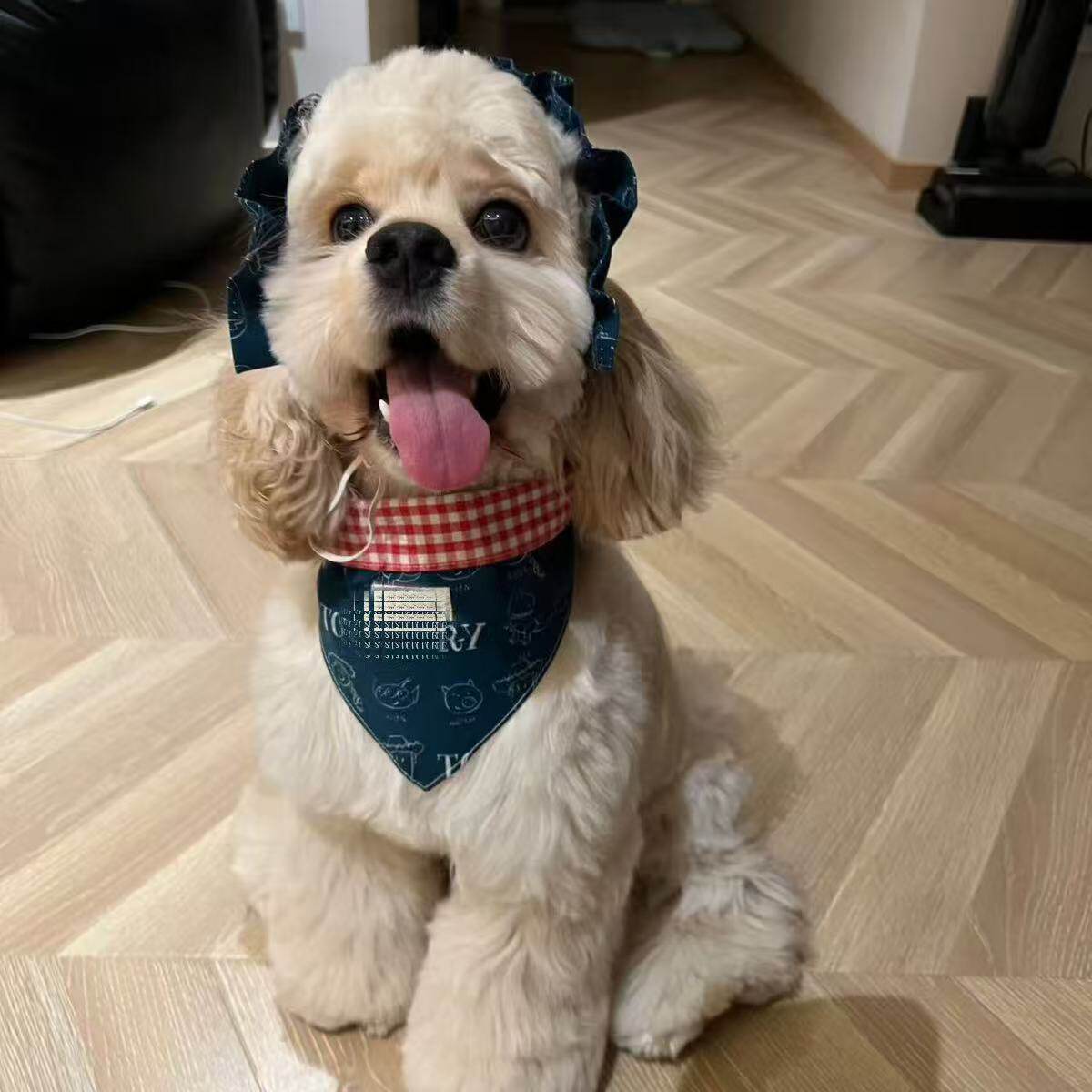 大耳朵狗狗耳花宠物狗耳花饰品可卡查理王美卡史宾格头花耳套