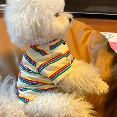 狗狗衣服夏天泰迪比熊博美小型犬幼犬春秋薄款可爱公主潮牌宠物猫