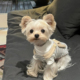 狗狗衣服秋冬装 泰迪比熊约克夏小型犬宠物猫咪马甲背心