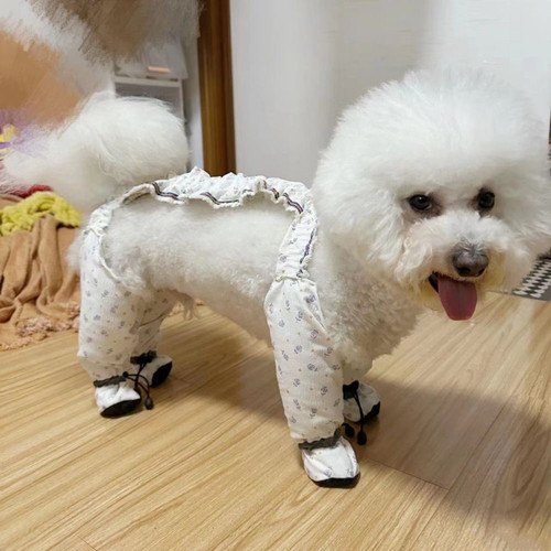 狗狗防脏裤狗裤子防尿腿裤护腿四脚腿套泰迪比熊