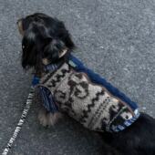 狗狗秋冬英伦风格 纹棉马甲保暖加厚防冻洋气宠物小型犬冬棉服背心