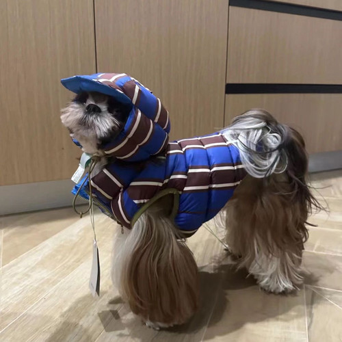 宠物秋冬加厚棉服马尔济斯泰迪雪纳瑞狗狗猫咪可爱保暖棉服帽子