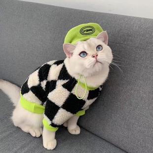 猫咪衣服冬装英短蓝猫小猫新款潮牌毛衣公猫帅气可爱宠物萌宠服装