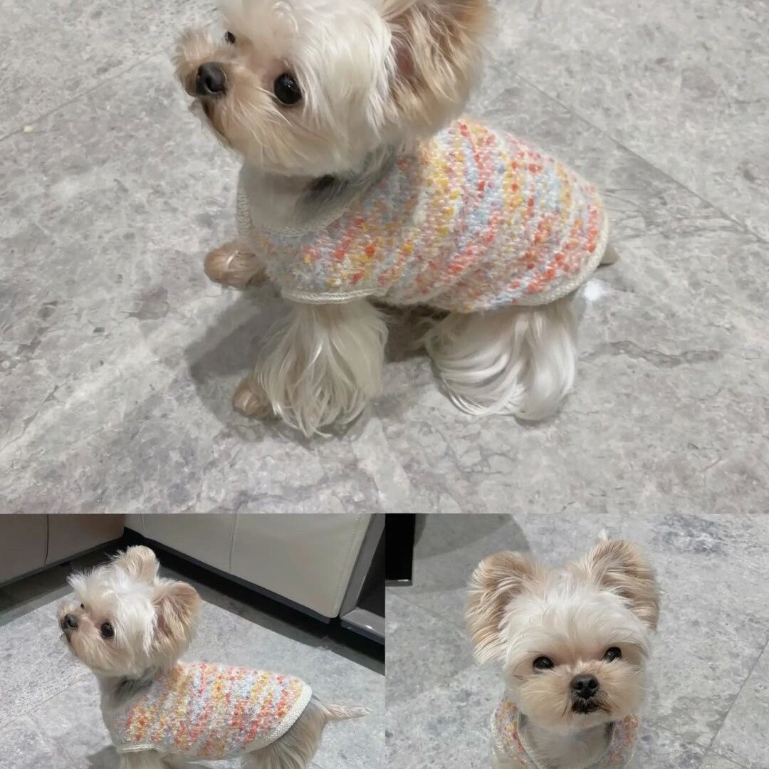 宠物狗狗衣服春秋毛衣冬季毛衣小狗泰迪比熊博美雪纳瑞小型犬秋季