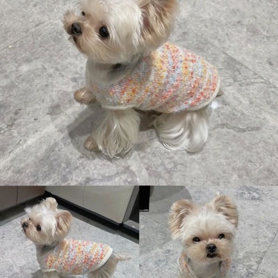 宠物狗狗衣服春秋毛衣冬季毛衣小狗泰迪比熊博美雪纳瑞小型犬秋季