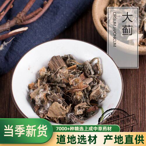 云南中药材大蓟草大刺儿