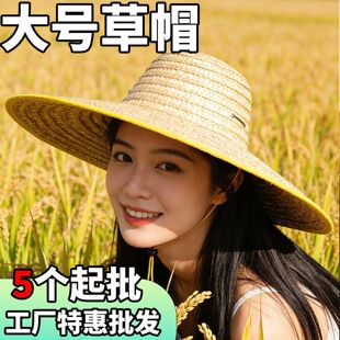 批发大号草帽工地农用帽子超大草帽大帽沿渔夫遮阳防晒钓鱼防晒帽