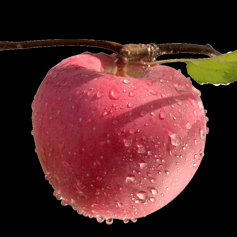 陕西洛川苹果高钙红富士苹果新鲜孕妇水果脆甜汁果园直发整箱包邮