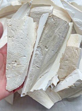 断的碎块鹦鹉精品消毒补钙墨