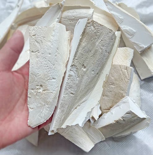 断的碎块鹦鹉精品消毒补钙墨