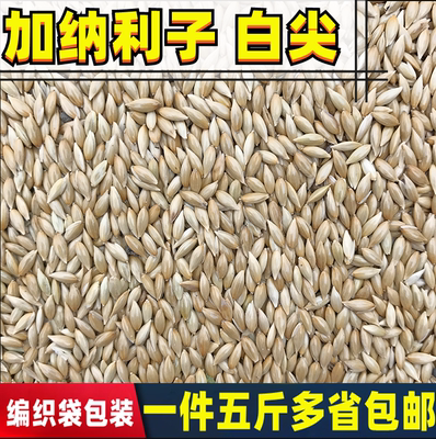 鹦鹉鸟食饲料加纳利子白尖粟芙蓉