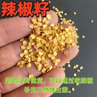 带壳补充鸟粮营养 虎皮鹦鹉饲料鸟食玄凤辣椒子牡丹