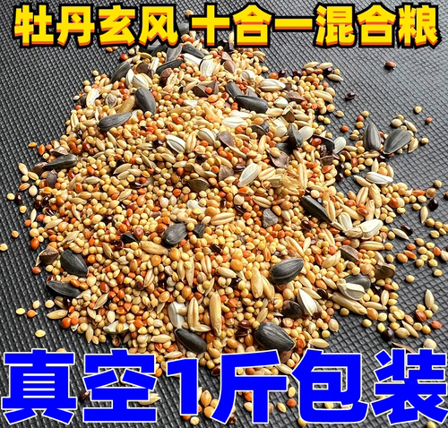 鹦鹉混合鸟粮牡丹玄凤等中小型鹦鹉鸟食十合一谷子瓜子 1斤真空