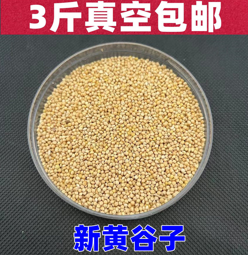 鹦鹉粮带壳黄谷子鸟粮鸟食饲料虎皮牡丹玄风有壳谷子小米3斤真空,宠物/宠物食品及用品,鸟食,淘宝优惠券,粉丝福利购,淘宝优惠卷